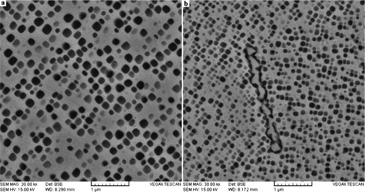 9 Microstructures of c9 precipitates after 1500 h aging at 800uC for a type A wrought IN939 alloy and b type B wrought IN939 alloy aging at 800uC.