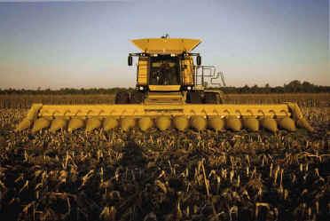 Corn Production Trends More Informed