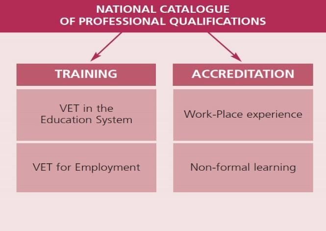 arranges the professional qualifications according to competences appropriate for an occupational performance.