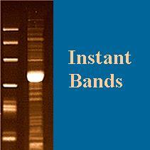 Instant-Bands Protein Sample