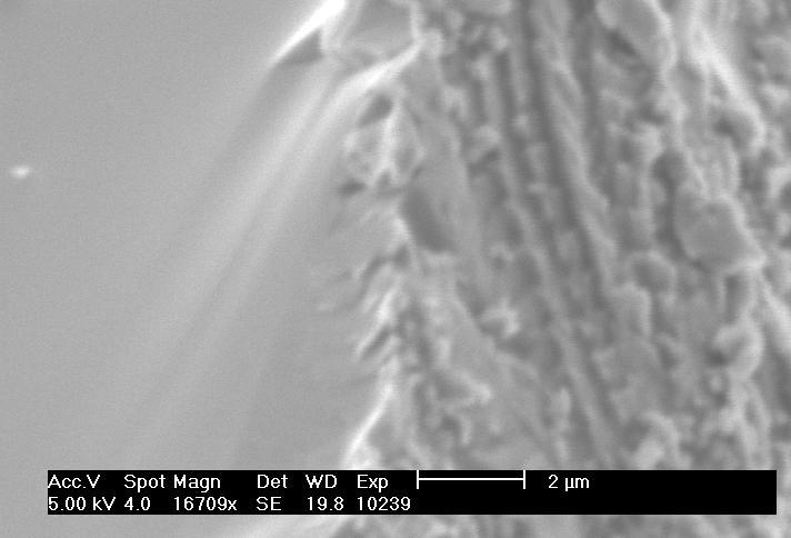 52 Subsurface cracks Figure 4.18. SEM image of silicon wafer showing subsurface damage after MRUM 4.5. Tool Wear Tool wear was observed in the form of grain pullout as illustrated in Figure 4.