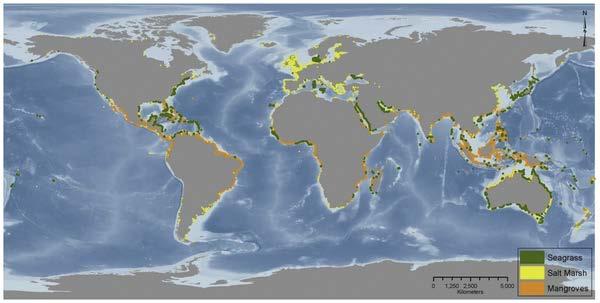 Blue forests Marine and coastal ecosystems that are particularly valuable through their provision of multiple ecosystem services, of which carbon sequestration and storage is one Figure Global