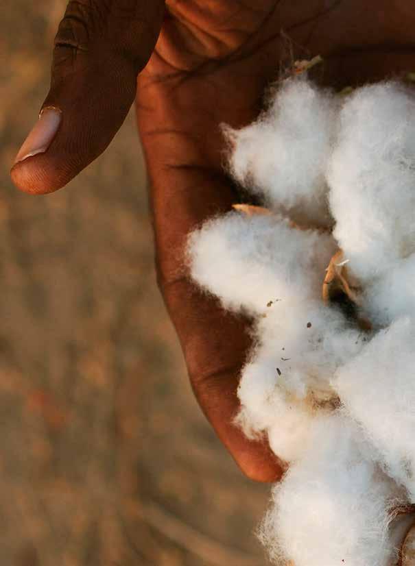 OUR 2020 GOALS 100 % of our cotton is more sustainable. PROGRESS We launched our first organic cotton products over 10 years ago.