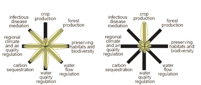 Low flow Biodiversity Trade-offs different functions and services of landscapes