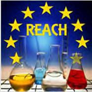Boric Acid Borax What is REACH? REACH is a new European Community Regulation on chemicals and their safe use.