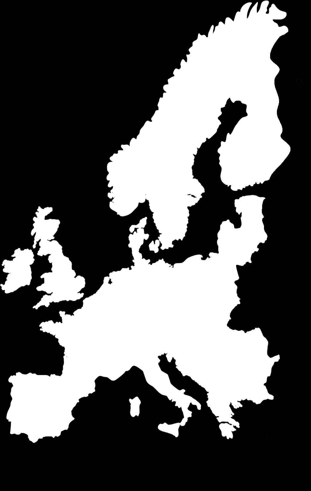 in Europe: Office Depot & Viking 31 different web sites Retail stores in 2 European countries We send out > 66,5 million