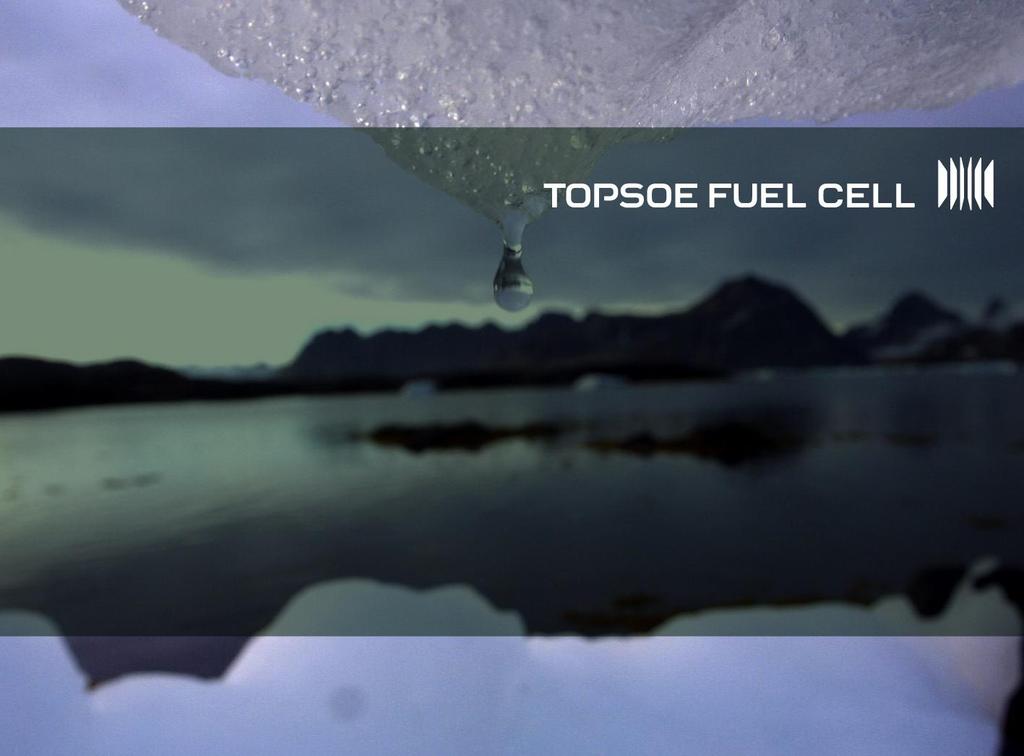 Development of Fuel Cells at Topsoe Fuel Cell A/S From Science to Industrial Technology