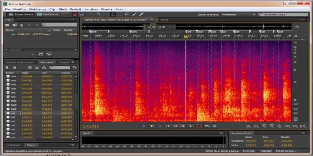 180 181 182 183 184 185 186 187 188 189 190 191 192 193 194 195 196 Figure 1. Screenshot of Adobe Audition. Waveform (upper part) and spectral display (lower part) of an audio file.