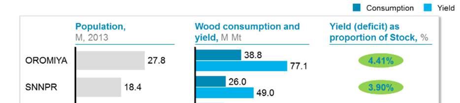 Figure 18 - Biomass consumption and yield