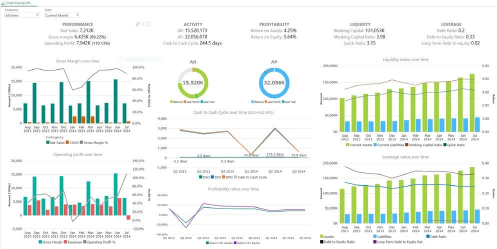 Section 1: General Ledger 1.1 Chief Financial Officer The Chief Financial Officer dashboard provides quick access to business metrics that are key to monitoring profitability and liquidity.