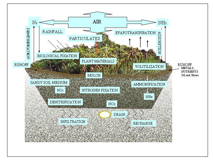 Figure 3-1 Biological and Chemical Processes that Occur in a Bioretention Cell Source: Prince George s County, Maryland Department of Environmental Resources (PGDER), 2000. 3.3.5 Utilize Multifunctional Landscape, Buildings and Infrastructures.
