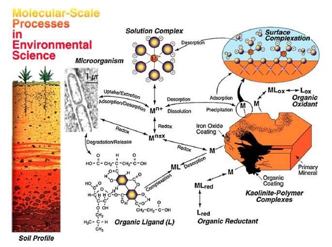 2. Heavy Metal module Fig. Molecular-scale environmental processes of metals in soils and aquatic systems [3] [3]. Brown Jr G E, Chianelli R, Stock L, et al.