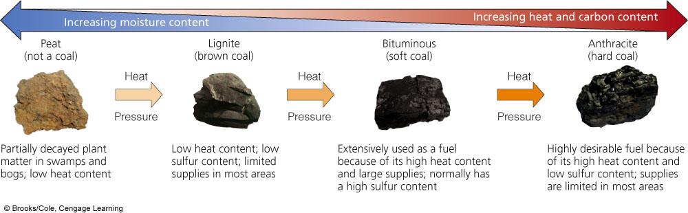 Stages in Coal