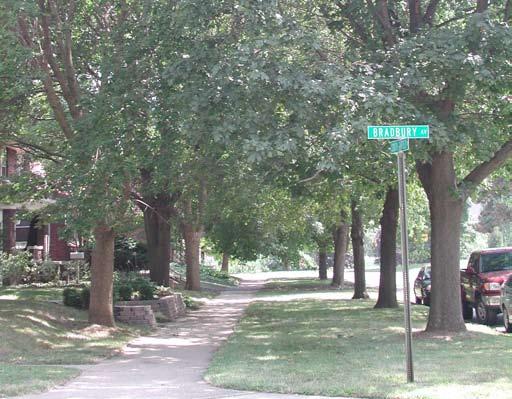 Executive Summary Indianapolis, the capital and largest city in the state of Indiana, maintains parks and street trees as an integral component of the urban infrastructure (Figure 1).