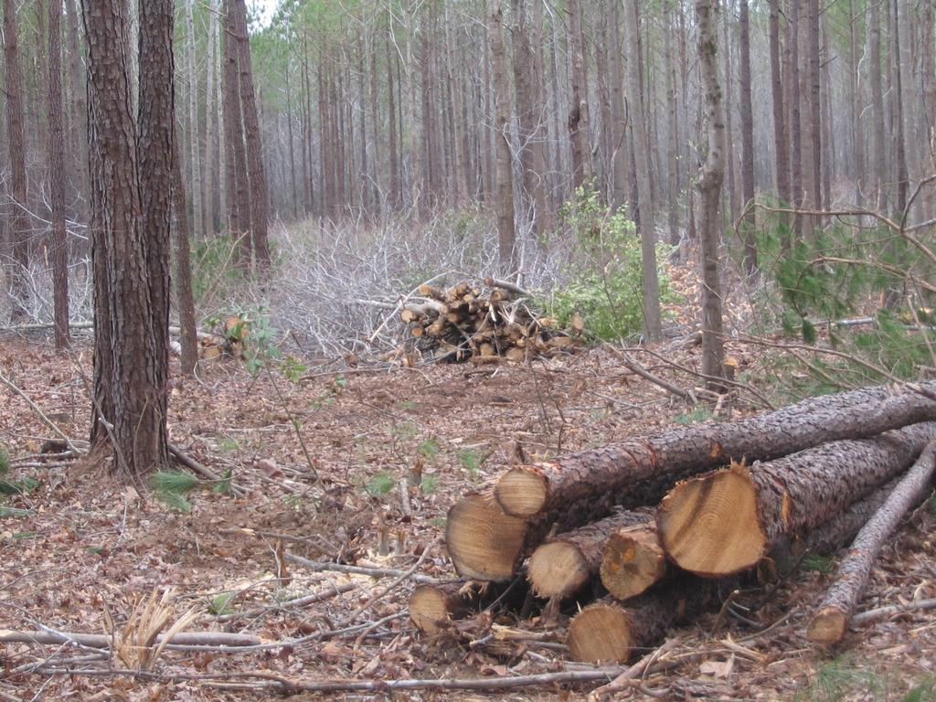 Woody biomass residue harvests may actually