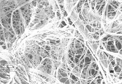 Lyocell Nanofibrillated Fiber Structure Large majority (number average) of fibril diameters are between 0.05 and 0.5 microns, with typical average of about 0.