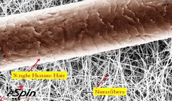 Relative Size of Nanofibers