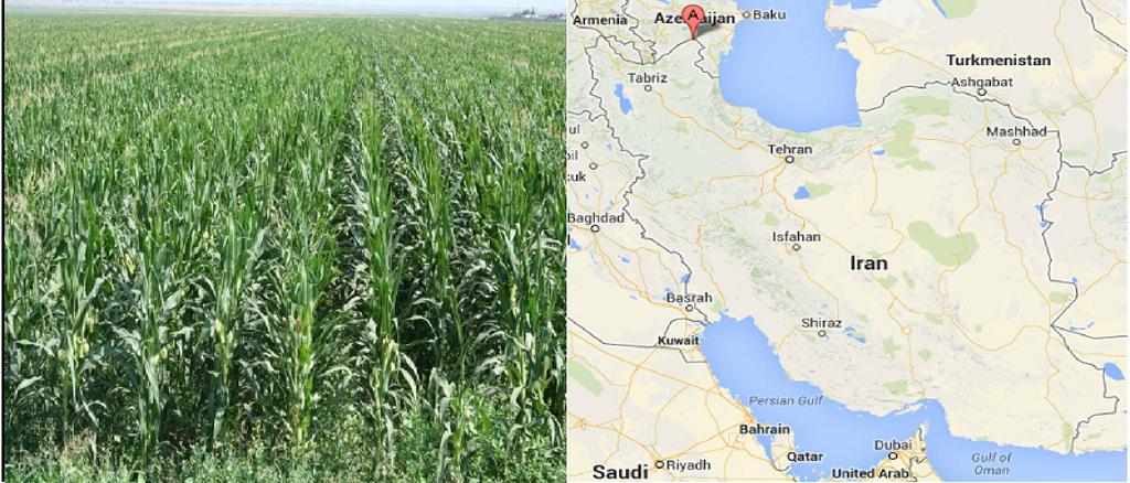 of Iran. Soil of the plain is suitable for cultivation of most of agricultural activities.