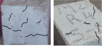 4, it is observed that the micro cracks in RBA concrete are much less in comparision with GA concrete after heating to 800 o C, which explains the higher strength of RBA concrete than GA concrete.