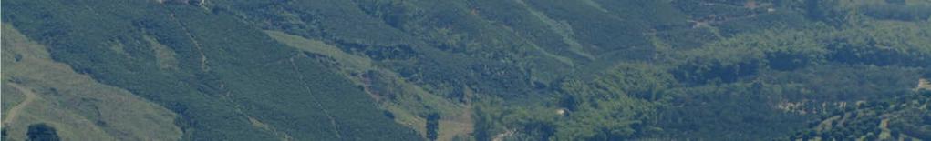 Colombian Andes; where high temporal and