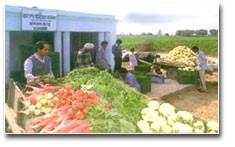 INTRODUCTION SAFAL Fruit and Vegetable Unit was set up in the year 1988 by National Dairy Development Board, an institute of national importance, a body corporate created by Government of India, with