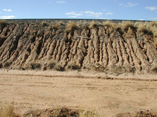 Boundary Hill Site: eroded sediments fouling ballast in a cutting Different concentrations of H 2 SO 4 were applied to Buffel Grass seeds for various soaking (dipping) durations in order to improve