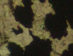 Qtz Py Chl Figure 3.4 Photomicrograph of Quartzite (Sample Q8) Showing Overprints of a Cluster of Ore Minerals (plane polarised light, x1000).