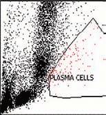 Marsee et al / Flow Cytometric Analysis of Clonal Plasma Cells A SSC-A ( 1,000) 250 200 150 100 50 250 200 150 100 50 CD38 0 0 0 50 100 150 200 250 FSC-A ( 1,000) CD138 Q3-2 CD138 PE-A CD56 Q3-1 CD56