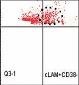 / plasma cell population (circled) was only detected using 6-color analysis.