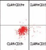 technique for detecting clonal plasma cell populations than the 4-color multi-tube technique.
