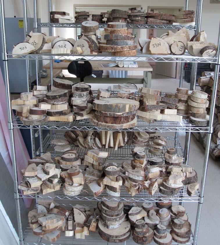 Firewood subsamples stored at