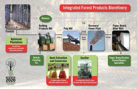 Biorefinery in practice: Depends on: -What biomass source -Where is it growing