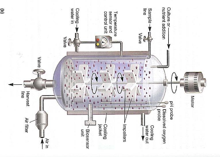 Conventional industrial bioreactor: Continuous stirred tank reactor (CSTR)