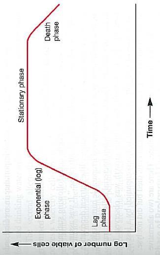 Microbial growth curve in batch mode What happens in each phase?