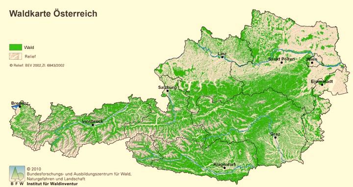 Main Source for Biomass: the Austrian Forest Forest