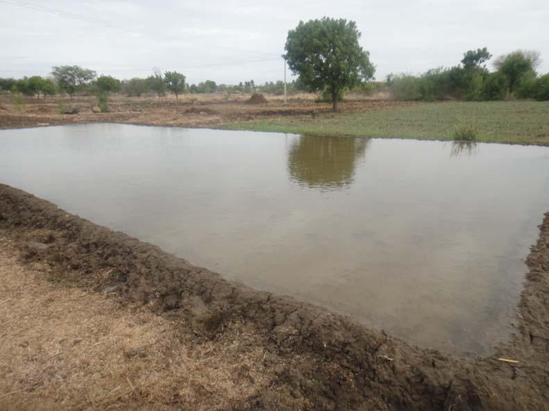 Temporary water storage ponds Plastic lining - Outcome Crops cultivated