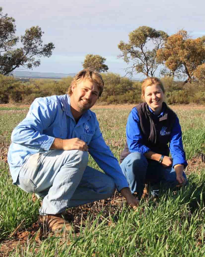 Name: Justin Wundke Location: Condowie, South Australia Sarah Noack, Hart Field-Site Group research and extension manager and Justin Wundke, Condowie Farmer.