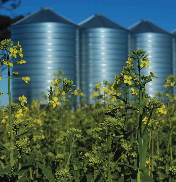 Photo: Alan Morcom Matching storage to commodity: Storing oilseeds or
