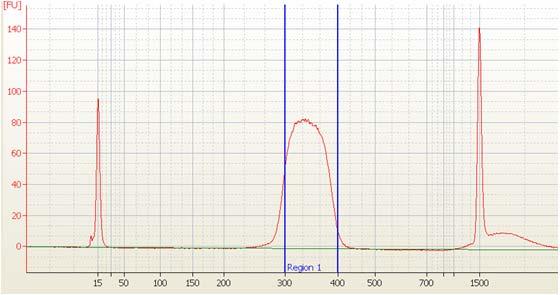 DNA 1000 Chip When running samples on an Agilent DNA1000 chip, no dilution is required.
