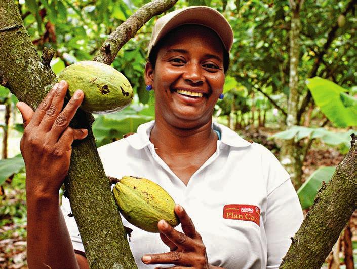 Rural development Roll out the Nestlé Cocoa Plan with cocoa farmers Our objectives The Nestlé Cocoa Plan aims to improve the lives of cocoa farming communities and the quality of the cocoa we