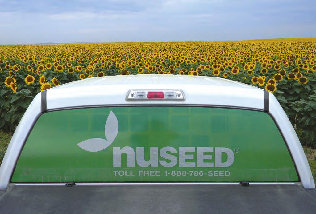 High Oleic NUSEED SUNFLOWER HYBRIDS UNIFORM. SPECIALTY YIELD FOR PLANT ROOT STALK DROUGHT TEST DRY OIL AT PREMAT. SELF HYBRID MATURITY TRAITS MARKETS MATURITY HT. RATING RATING TOLERANCE WT.