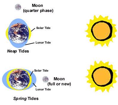 Energy from the moon Tides generated by the combination of the moon and sun s gravitational forces Greatest affect in spring when moon and sun combine forces Bays and inlets amplify the height of the