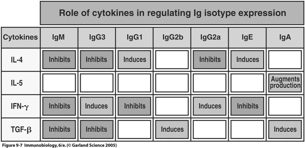 Germline (I region) Transcripts Are Necessary For Isotype Switch