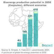 Why pan-african sustainable bioenergy policy?