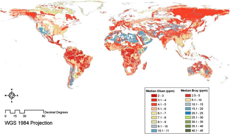 Global P deficiency: primary constraint to life on earth Issue of