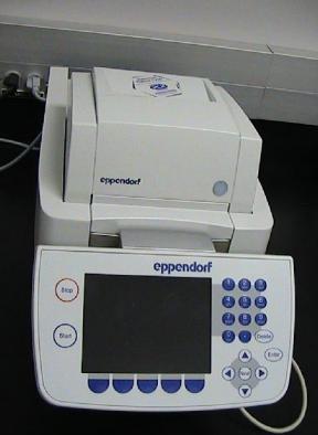 Phương pháp PCR Nguyên tắc thực hiện: Sự khuếch đại nhờ vào chu trình nhiệt lập lại (~35 lần) gồm các bước: 1. Đun nóng, biến tính (95 0 C); 2. Làm nguội, gắn mồi (37-65 0 C); 3.