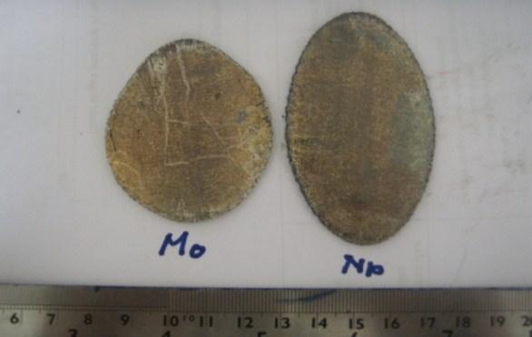 Hot Forging and Roll No crack failure has been observed during roll and forging treatment for all specimens after preheating at 1000 o C, indicating that Ti-6%Al-Nb/Mo have sufficiently good