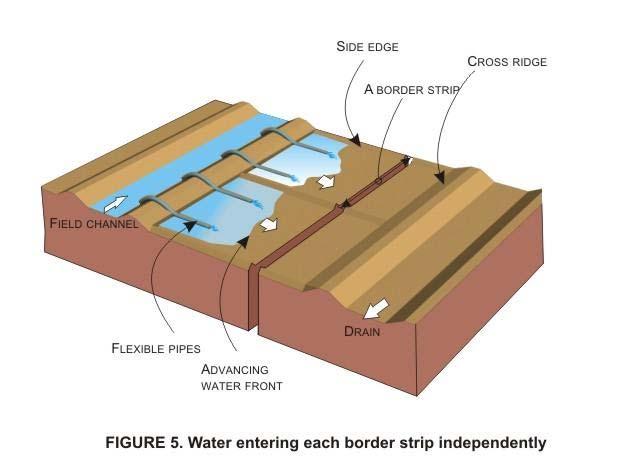 The water spreads and flow down the strip in a sheet confined by border ridges. When the advancing water reaches the lower end of the border, the stream is turned off.