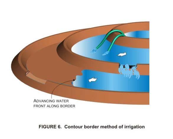 The straight border irrigation is generally suited to the larger mechanized farms as it is designed to produce long uninterrupted field lengths for ease of machine operations.