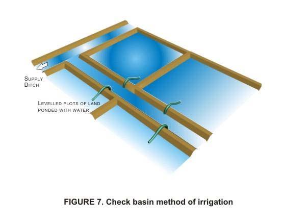 3.4.6 Basin Irrigation Basins are flat areas of land surrounded by low bunds. The bunds prevent the water from flowing to the adjacent fields.